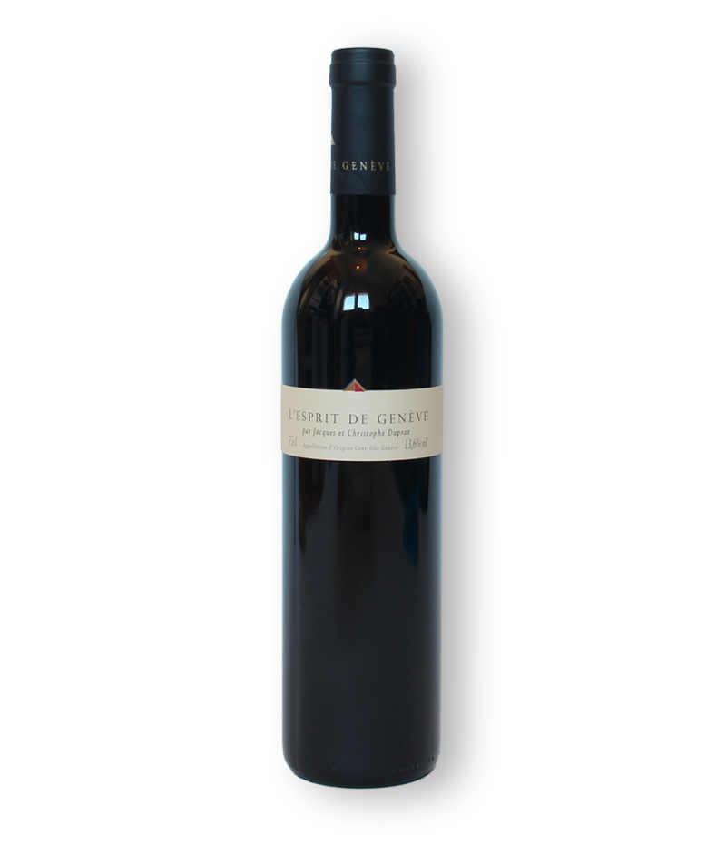 esprit-de-geneve-img
